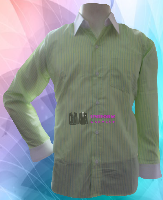 เสื้อเชิ้ต แขนยาว ปกขาว ปลายแขนขาว สีเขียวอ่อนลายลงสีฟ้า
